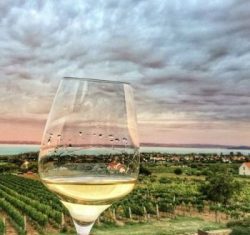 Bortúra? Akkor irány a Balaton part!