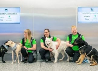 A kutyák képesek kiszagolni a koronavírust – A helsinki reptéren már alkalmazzák is őket