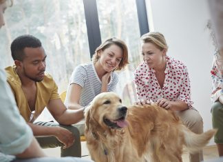 Állatterápia – a gyógyír testre és lélekre