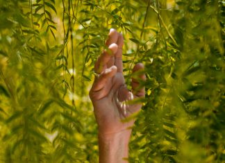 Elkötelezett a multi egy fenntarthatóbb világért