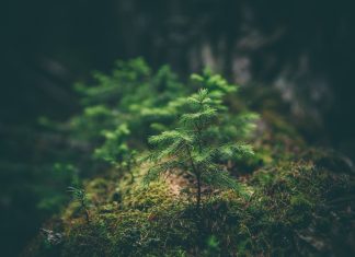 A Kistehén segíteni tér vissza az Életigenlő – Bólints rá! kampányban