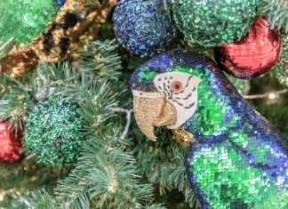 Hoppá! A páváskodó papagájok a karácsonyfák 2020-as sztárjai