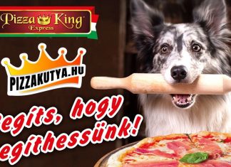 Pizzakutya! Napi több ezer pizzás dobozra gazdikereső állatok fotója kerül