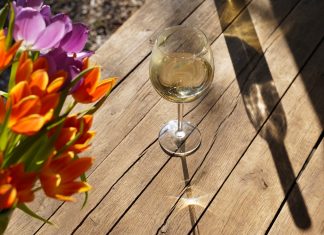 10 éve mutatkozott be az egri csillag