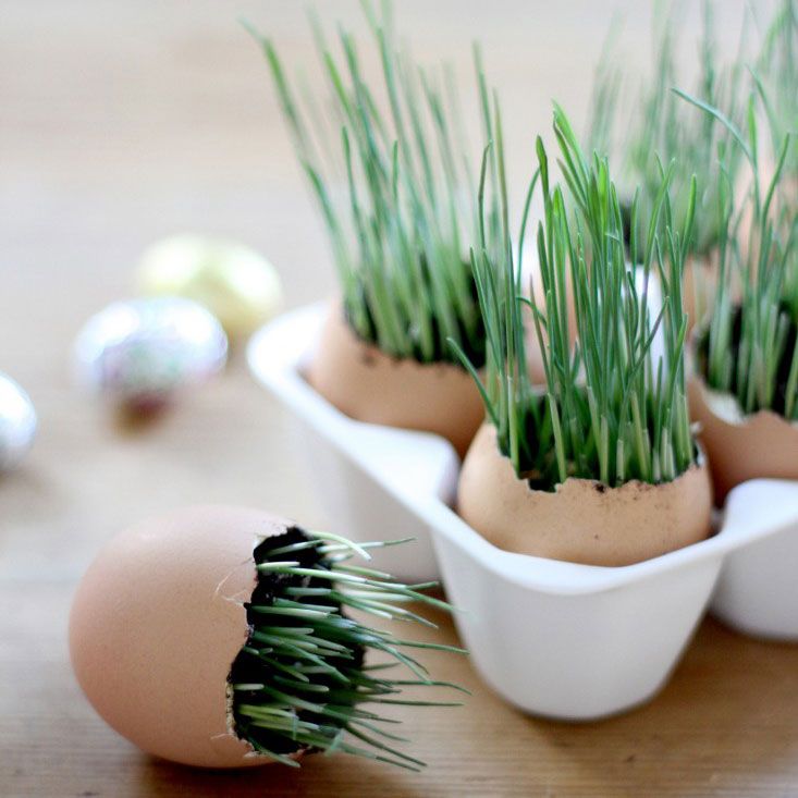 húsvét-tojás-tojásfestés