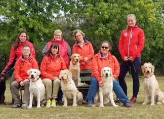 Hogyan képzik ki a vakvezető kutyákat? – A Kiképző Központ vezetőjével beszélgettünk Csoportkép a Vakvezetőkutya-kiképző Központ munkatársairól
