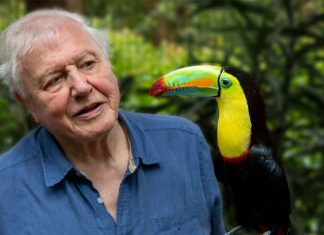 10 érdekesség David Attenborough-ról david attenborough