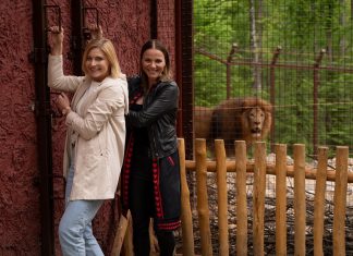 Péter Szabó Szilvinek és Görgényi Fruzsinának mutatták meg magukat először a miskolci oroszlánok