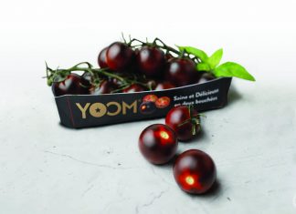 Új paradicsomfajta a magyar konyhákban