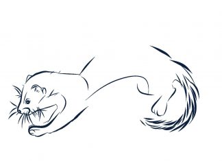 Anna Daubner ruhadarabokkal Magyarország ökológiai sokszínűségéért