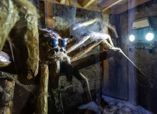 Harry Potter filmeket idéző varázslatos helyszín nyílt Budapest belvárosa alatt