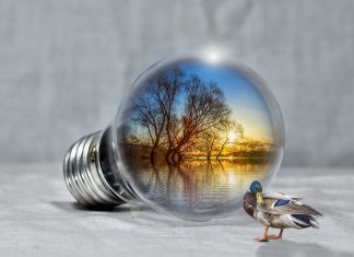 Otthonunkkal a klímaváltozás ellen