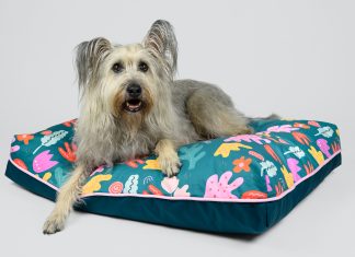 Különleges kutyafekhelyek különleges kutyusoknak kutya-kutyafekhely-Happy Beast