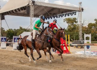 Holnap rendezik meg a III. Érdi Vágtát