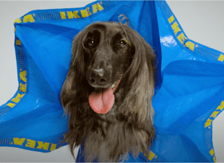 Az IKEA 5 őrült holmija, amit neked is látnod kell IKEA kutyaruha szatyorból