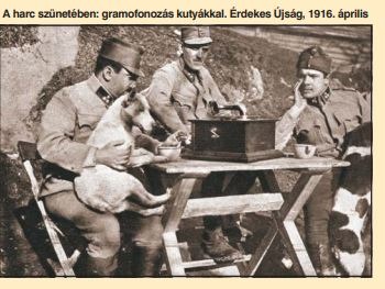 Kutyák az első világháborúban