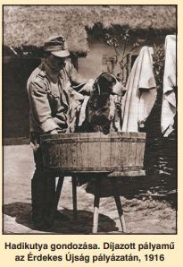 Kutyák az első világháborúban 