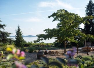 Fejlesztések a 116 éves Folly Arborétumban – Európa élvonalában