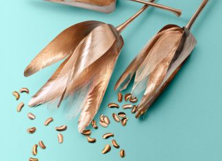 A Tiffany & Co. bemutatja illatkollekciója legújabb remekét!