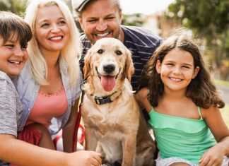 Kutya termékek, amelyekért hálás lesz a kedvenced kutya-termékek