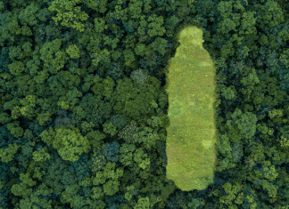 Ma van a Földünkért Világnap, amely környezetvédelmi tettekre ösztönzi az embereket