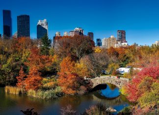 New York végre megtelhet európaiakkal