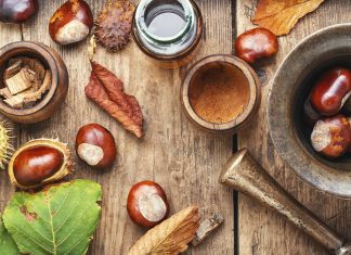 A vadgesztenye varázslatos tulajdonságai vadgesztenye