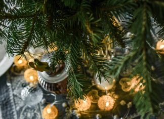 Vegyél olyan fenyőfát, amit direkt neked vágnak ki!