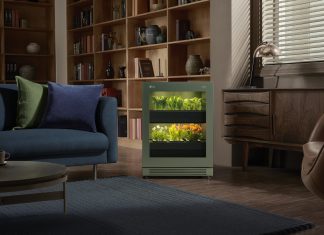 Beltéren is termesszünk növényeket!