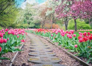 Ezekre a helyekre el kell látogatnod, ha itt a tavasz