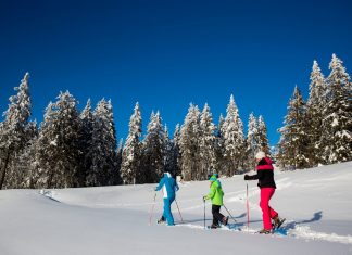 Szlovéniában korlátozások nélkül síelhetünk!