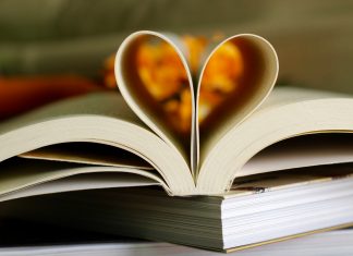 Költészet világnapja – A Bcool szerzőinek kedvenc versei versek