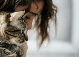 A budapesti Állatorvostudományi Egyetem is fellép az Ukrajnából menekülők és társállataik egészségének biztosítása érdekében