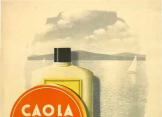 Hagyomány és megújulás: mi lett a hungarikumnak számító Caola brandekkel?