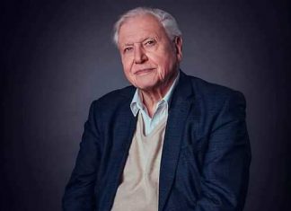 Rangos díjat kapott Sir David Attenborough: ő lett a Föld bajnoka