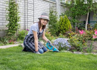 Kertben élve. Kerti munkák, tisztázás, terepfelmérés