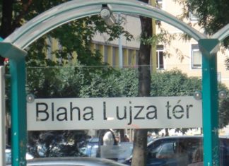 Ez lehetne a hét fotója: gyönyörű kiserdő születik a felújítás alatt álló Blaha Lujza téren