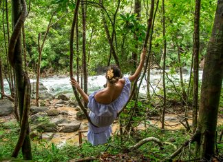 Ezért fontosak az esőerdők az ember számára esőerdő
