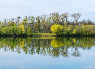 Nemzetközi Duna nap