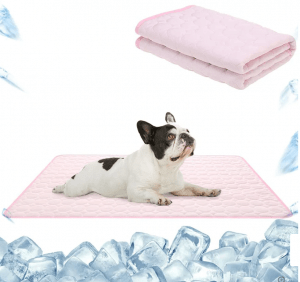 Kutya hűsölő matracon
