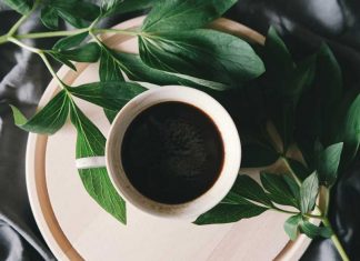 A kávé csodát tesz a növényeiddel és még a kártevőktől is megóvja őket