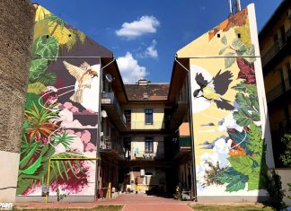 Veréb és cinege: a Neopaint legújabb falfestménye Budapesten