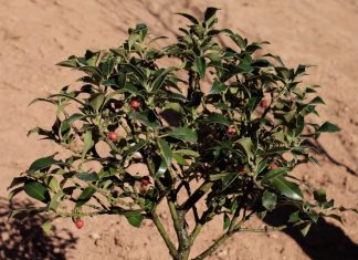 Minden apró tett fontos a környezet védelmében out of sight