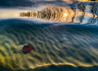Fényképezz, akár a profik: Daróczi Csaba természetfotós tippjei természetfotós