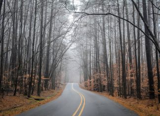 Legyél profi sofőr ősszel is! vezetés ősszel