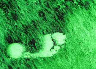 Élj tudatosan! – kampány indul októberben biológiai lábnyom