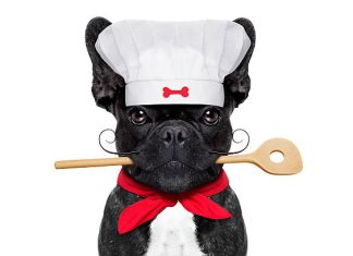 Íme a világ első fine dine étterme kutyák számára