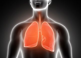 A tüdő óvása is az egészségtudatos szemlélet része kell, hogy legyen!