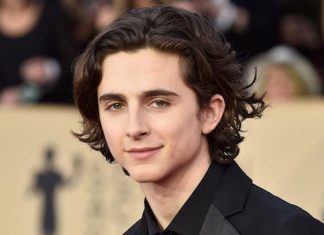 5 film, amelyben láthattuk a szexi Timothée Chalametet