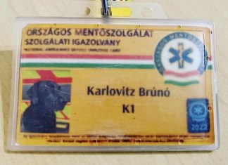 Brúnó, a különleges mentőkutya szolgálati igazolványt kapott